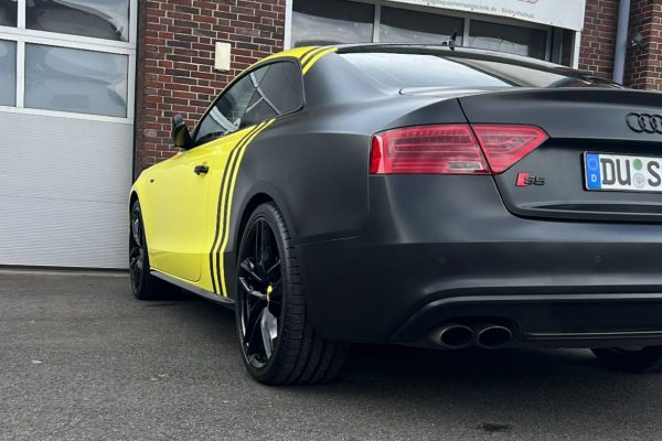 WhatsApp Image 2025-11-24 at 11.52.50